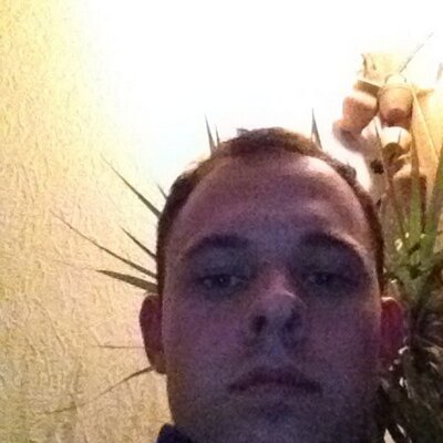 Profile Picture of Bastian Borchert (@RainerBastian) on Twitter