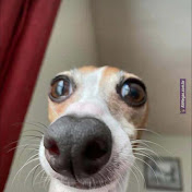 Profile Picture of Josiah Garcia  (@JosiahGarcia-stay) on Youtube