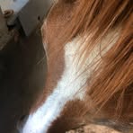 Profile Picture of Sienna Atkinson (@Sienna-Atkinson) on Facebook