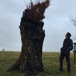Profile Picture of James Heap (@jamesstuartheap) on Instagram
