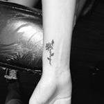 Sophia - Instagram Profile Picture of Sophia (@sophiastephens18) on Instagram