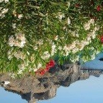 Profile Picture of Hatchett (@dhatchett89) on Instagram