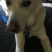 Profile Picture of Ruby Fisher (@ruby.fisher.18400) on Facebook