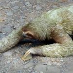 Profile Picture of Kevin Barnett (@kevin.barnett.9440) on Instagram