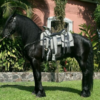 Profile Picture of Reinaldo Jose Ulloa (@UlloaReinaldo) on Twitter