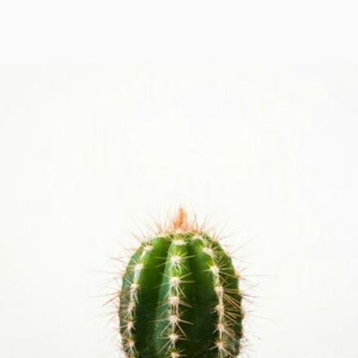 Profile Picture of แคทตัส (@NickNam31180161) on Twitter