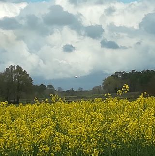 Profile Picture of Patrik Finolli (@patrik.finolli) on Facebook