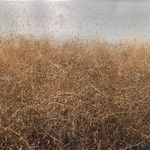 Profile Picture of Heidi Ziegler (@ziegler.heidi) on Instagram