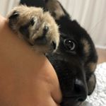 Profile Picture of 진바시도  삼 월 🐾 (@uou_0404) on Instagram