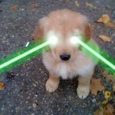 Profile Picture of Brad Meadows (@bradleymeadows) on Twitter