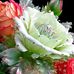 Profile Picture of Viond Oraon (@Viond-Oraon) on Facebook