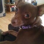 Profile Picture of Ben Corley (@corley.ben) on Instagram