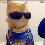 Bennie Graves - Instagram Profile Picture of Bennie Graves (@beaniefrmdaco) on Instagram