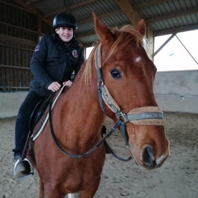 Profile Picture of Matthew Laroche (@Matthew56129931) on Twitter