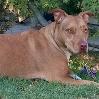 Profile Picture of Patty Renee JurekGrisham (@patty.jurek) on Facebook
