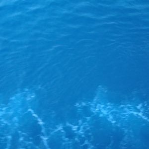 Profile Picture of Daniel Rini (@DanielRini2) on Twitter