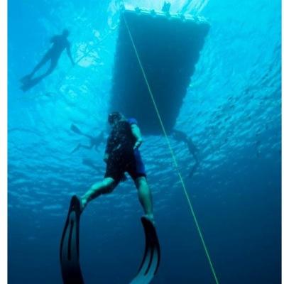 Profile Picture of Hector Luis (@hectorluis11) on Twitter