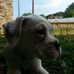 Profile Picture of Rappos Alkolikos Tekila (@rappos.tekila) on Facebook
