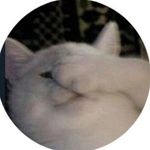 Profile Picture of Maja Lipian (@lipianovska) on Instagram