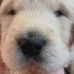 Profile Picture of Kaye Forrest (@kaye.forrest.58) on Facebook