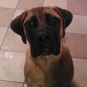 Profile Picture of Nathan Sweet (@NTSweet07) on Youtube