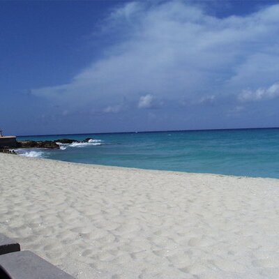 Profile Picture of Steve B. (@zeeb) on Twitter