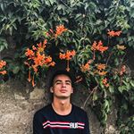 Profile Picture of Andrew Rodríguez (@andrewrodriguez104) on Instagram