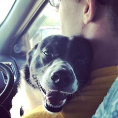 Profile Picture of Johnathan James Spedding (@johnathanjamesspe) on Tiktok