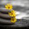 Profile Picture of Susan Mikula (@susan.mikula.7) on Facebook