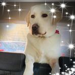 Profile Picture of Aneta Stoyanova (@aneta.stoyanova.5) on Facebook