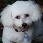 Profile Picture of Beverly Bryan (@beverlybryan4654) on Youtube