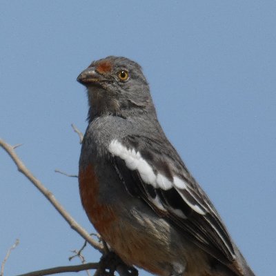 Profile Picture of Jeremy Flanagan (@sullana) on Twitter