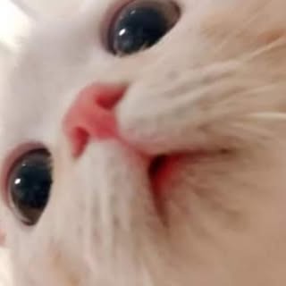 Profile Picture of kim_hail (@kim_hail) on Instagram
