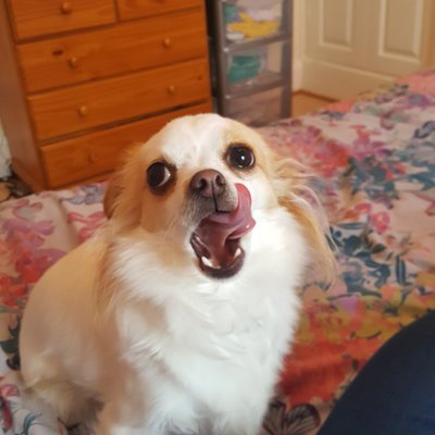 Profile Picture of Mel  Finn (@HauntedTudor) on Twitter