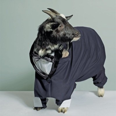 Profile Picture of Cameron Kelly (@@SpryHunter) on Twitter