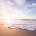 Profile Picture of Eric Schrandt (@ericschrandt0324) on Pinterest