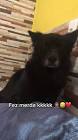 Profile Picture of   TikTok de Fernando Rosado... (@rosado00) on Tiktok