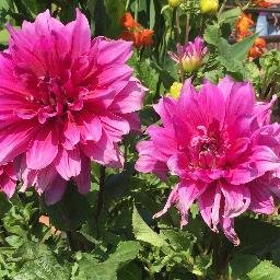 Profile Picture of Dick Fong (@dickuen65) on Twitter