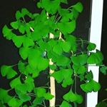 Profile Picture of Dustin Donner (@donnerdustin) on Instagram