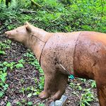 Profile Picture of Michael Crouch (@mike_crouch_archery) on Instagram