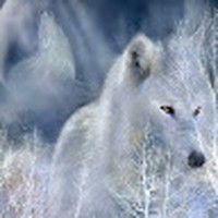 Justin Hulon - Quora Profile Picture of Justin Hulon (@justin-hulon-1) on Quora