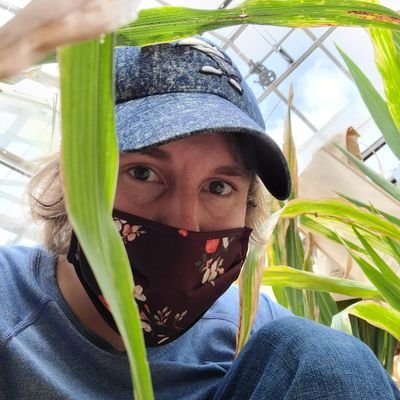 Profile Picture of James Fischer, KU (@jfischerbotany) on Twitter