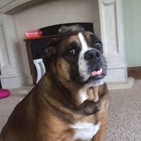 Profile Picture of Jamie Bass Furr (@jamie-bass-furr) on Quora