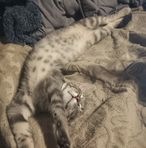 Profile Picture of Nick Hukill (@nick.hukill.7) on Facebook