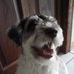 Profile Picture of Brady Schutt (@Brady-Schutt) on Facebook