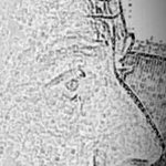 Profile Picture of Andreas Kallenskog (@kalle_n_skog) on Instagram