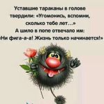 Profile Picture of Александр Кравец (@aleksandrkravets6453) on Instagram