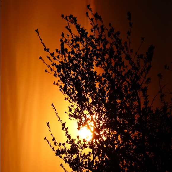 Profile Picture of Brent Balduff (@ohio921) on Poshmark