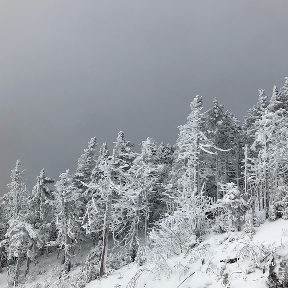 Alex Lindquist - Poshmark Profile Picture of Alex Lindquist (@vexi02) on Poshmark