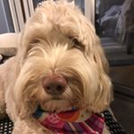 Profile Picture of Patricia Hahn (@patricia.hahn.3990) on Instagram